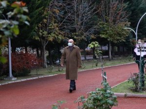 Sarının ve yeşilin her tonu Atatürk Botanik Bahçesi’nde