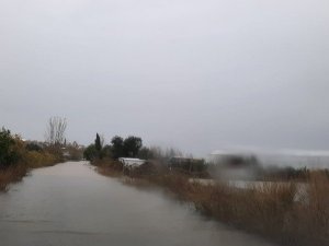 TARSİM: “Ülkemiz için üreten ve alın teri döken üreticimizin daima yanındayız”