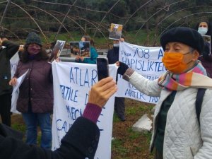 Büyükada’da “Ruam”dan itlaf edilen atlar ölüm yıl dönümünde anıldı