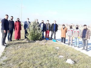 Meclis üyeleri fidan dikiminde bir araya geldi