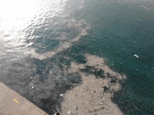 (Drone) Sokağa çıkma kısıtlamasında İstanbul Boğazı’nda çöp adaları oluştu