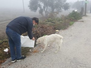Sokak hayvanlarına mama desteği