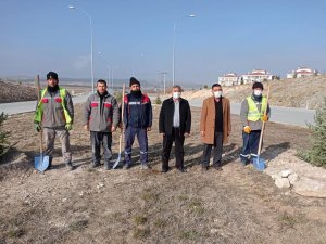 Çevre yolundaki ağaçlandırma çalışmaları sona erdi