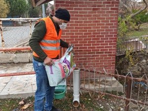 Gediz Belediyesi sokak hayvanlarını unutmadı