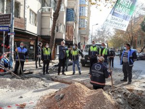 Denizli Büyükşehir kısıtlamayı fırsata çevirdi