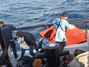 İçişleri Bakanı Soylu’dan Yunanistan’ın göçmenlere insanlık dışı muamelesine tepki