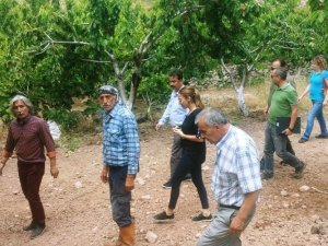 Ruhşan Özdemir Çifçi’nin ataması Bornova’daki vatandaşları üzdü