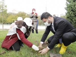 Kağıthane’de her köşebaşına ağaç