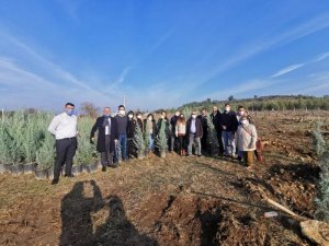 İzmir’de her çocuk adına bir fidan
