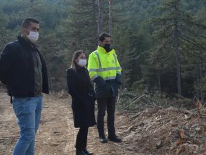 Kaymakam Yazıcı orman tensil çalışmalarını inceledi