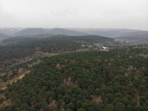 Kemerburgaz Kent Ormanı’nda renk cümbüşü