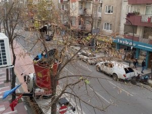 Ağaçta iki gün boyunca mahsur kalan yavru kedi kurtarıldı