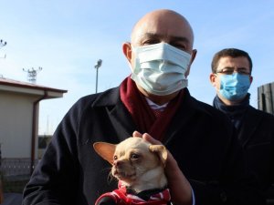 Ses telleri kesilen köpekler sahiplendiriliyor