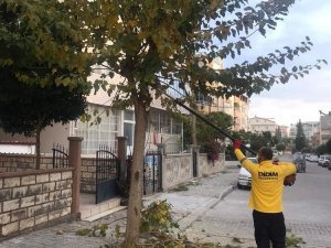 Didim’in çehresi değişiyor
