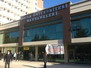 Hem korona virüs ile mücadele ettiler hem de 800 bini aşkın hastaya hizmet verdiler