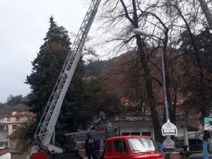 Ağaçta mahsur kalan kediyi itfaiye ekipleri kurtardı