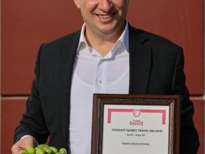 Ödemiş Ticaret Odası Çekişte Zeytinyağına coğrafi işaret tescili aldı