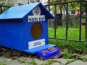 Kağıthane’de sokak hayvanları unutulmuyor