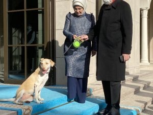 Emine Erdoğan, Cumhurbaşkanı Erdoğan’ı “Leblebi” ile birlikte uğurladı