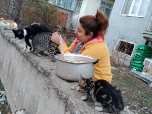 Sokak hayvanlarını evinin bahçesinde besliyor