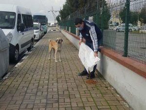 Manisa’da sokak hayvanlarına mama desteği