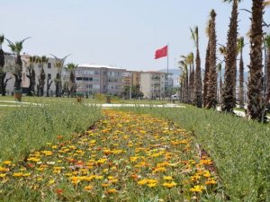 Aliağa’ya 2020 yılında 100 bin metrekare yeşil alan kazandırıldı