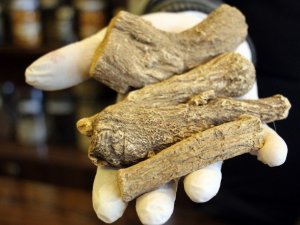 Yeryüzünün en güçlü antibiyotiği: ’Udi hindi’