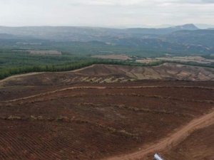 Denizli’de endüstriyel plantasyon sahası hazırlığı başladı