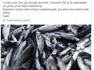 Ünlü komedyen Ata Demirer’den kaçak ve bilinçsiz avlanmaya tepki