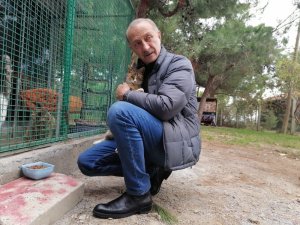Didim Belediyesi’nden besleme çalışması