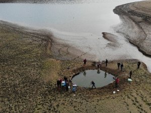 Kuruyan Ömerli Barajı’nda mahsur kalan yavru balıkları kurtarma operasyonu havadan görüntülendi