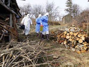 Filyasyon ekiplerini, yaban hayvanları bile durduramadı