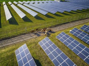 Eskinazi’den ’2020’ değerlendirmesi