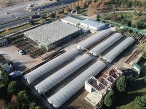 Dört mevsim güzelliğine doyulmayan Sincan Sera Park