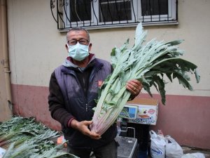 Enginar pazarın gözdesi haline geldi