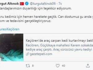Yaralı kediye Keçiören Belediyesi sahip çıktı