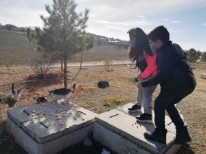 Anadolu Lisesi’nde “Sokak Hayvanlarını Besliyorum” projesi