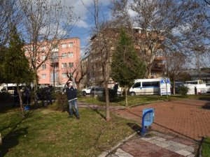 Budanan ağaçlar ihtiyaç sahiplerine odun oluyor