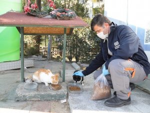 Gaziemir’de sokağa çıkma kısıtlamalarında can dostlar unutulmuyor