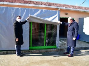 Mamak Belediyesi kış günlerinde de sevimli dostlarını unutmadı
