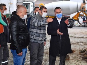 Beyoğlu’nda budanan ağaç dalları vatandaşlara yakacak olarak dağıtılıyor