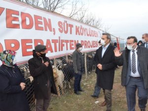 Emet’te ’Keçi peyniri’ projesi