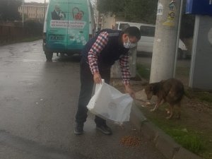 Manisa’da sokak hayvanlarına mama desteği