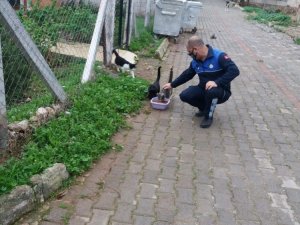 Didim Belediyesi minik dostları unutmadı