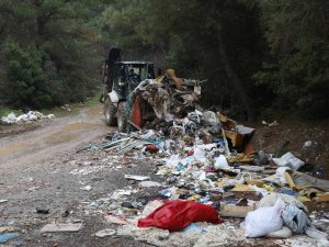 Buca Belediyesinden Yıldızlar ormanı açıklaması
