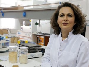 Korona virüs için umut oldu