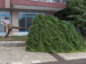 Denizli ve 4 il için fırtına uyarısı