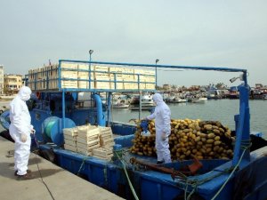 Karaduvar Balıkçı Barınağındaki balıkçı tekneleri dezenfekte edildi