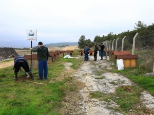 Büyükşehir’den sokak hayvanlarına sıcak yuva