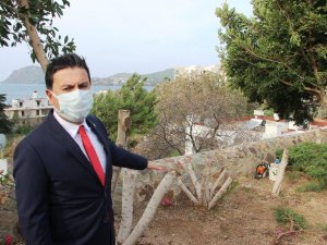 Bodrum’da şehit pilot anısına dikilen ağaçları kestiler